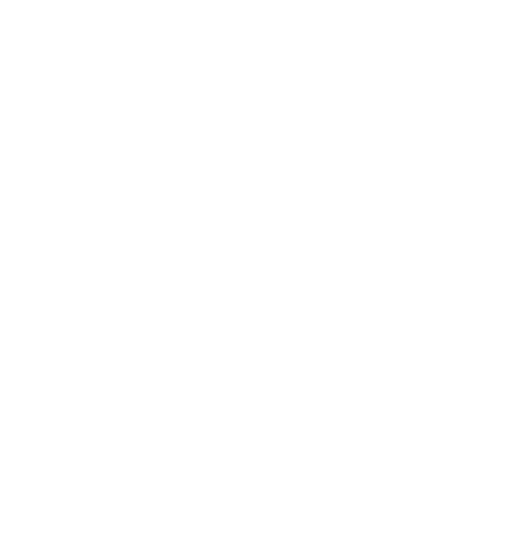 WOMAN WORKING ICON