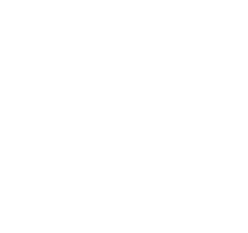 laptop-icon